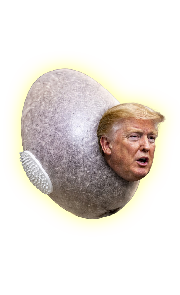 Accelerando by Charles Stross